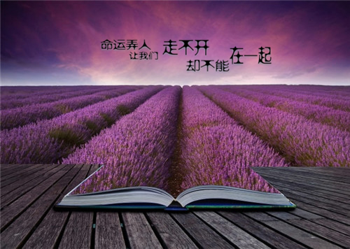 三年级发现作文（我发现了什么450字）