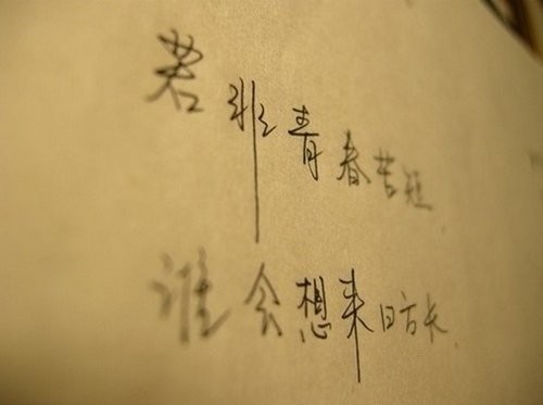 介绍故宫九龙壁两百字以上作文（北京九龙壁介绍400字）