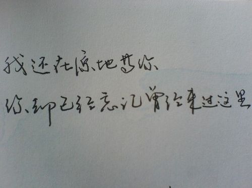 感兴趣的一种事物作文350字（喜欢的事物作文350字）