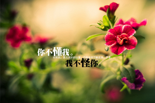 续写去年的树100字作文