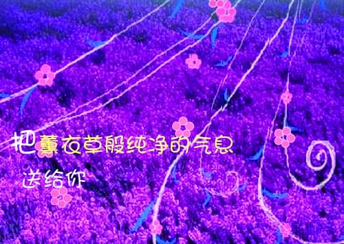 健康宣教的作文500字（我讲卫生我健康作文500字）