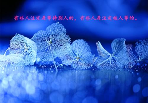 写传统节日的作文可以写包粽子吗（描写家乡习俗之包粽子的作文）