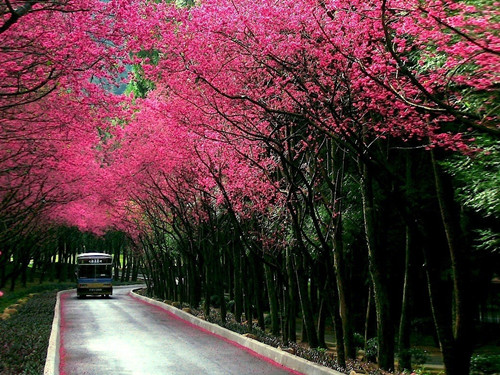 又是一年中秋节的祝福语朋友圈（中秋节朋友圈祝福语经典）