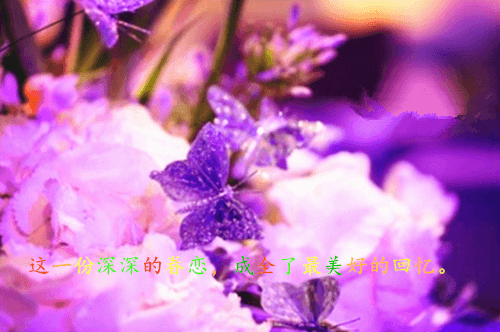 我爱故乡的丁香花作文400字