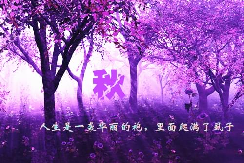 关于未来世界的作文200字（写未来的作文200字大全）