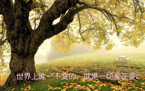 老师忙碌的一天作文800字（一位任课老师的一天作文800字）