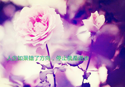 写过年烟花的作文350字左右（描写春节烟花作文的开头）