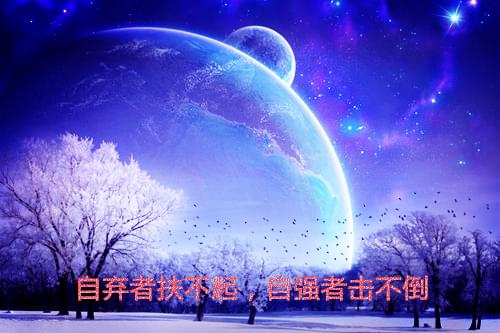 我发现蝴蝶400字作文（蝴蝶有什么秘密作文400字）