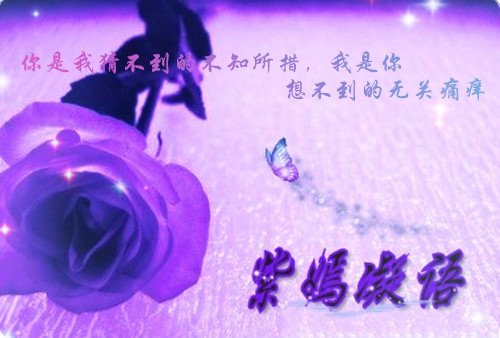 遇见什么八百字作文