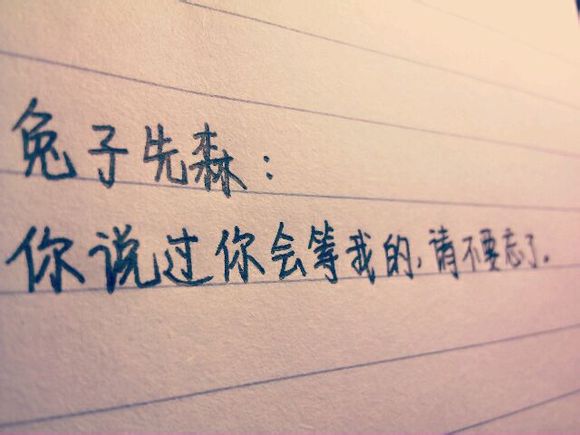 真情作文300字以上怎么写（以真情为话题的作文300字左右）