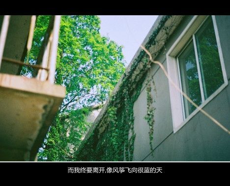 拒绝用动物来娱乐的英语作文（批判动物表演的英语作文）