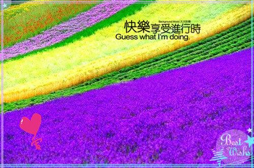 写南天竹的作文大概内容写什么（南天竹作文400字）