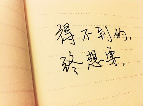 作文最美丽的景色300字