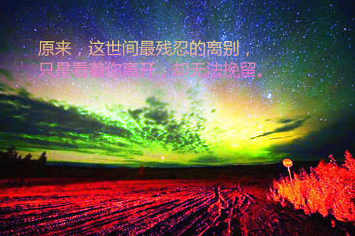 怎么介绍自己的名字 写作文（怎么写自己名字的简介）