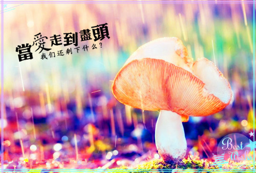 对老师感悟的作文（自己对老师的心里话作文）