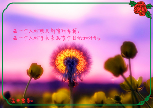 优秀作文写传统节日的（写传统节日的作文有哪些）