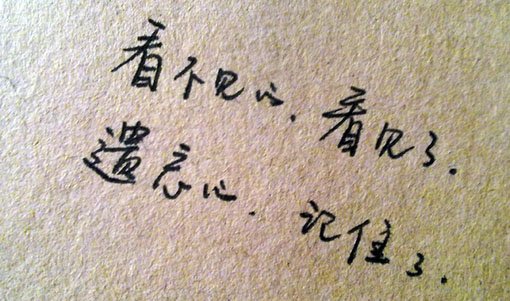 作文越来越迷茫的我500字（我终于走出了迷茫作文500字）