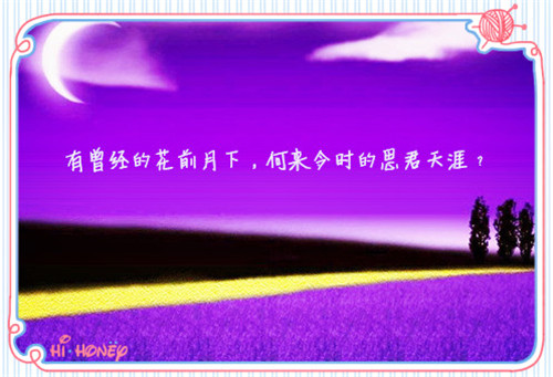 迷路的小象100字作文