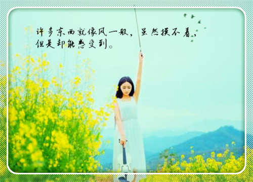 我眼中的淑女气质200字作文（想当淑女的我200字作文）