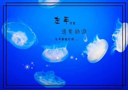 小梧桐的作文（写梧桐的作文600字）