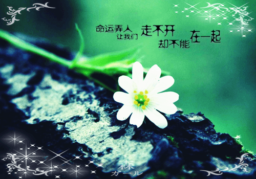 约定四百字作文