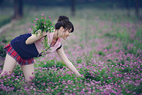 观察一种植物小学生作文