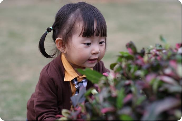 陕西英语学士学位作文