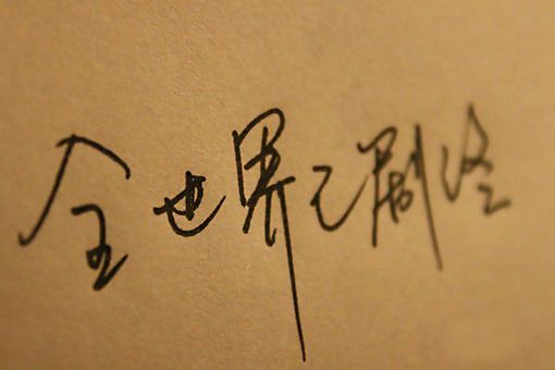 写动物作文小白兔300字（三年级小动物作文小白兔300字以上）