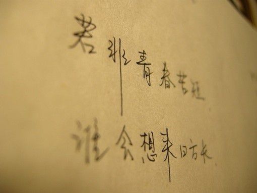 介绍农村家乡的作文（写乡下家乡的作文400字）