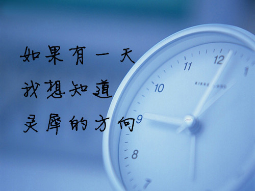 三年级我最喜欢语文课的作文100字（三年级语文作文100个字）