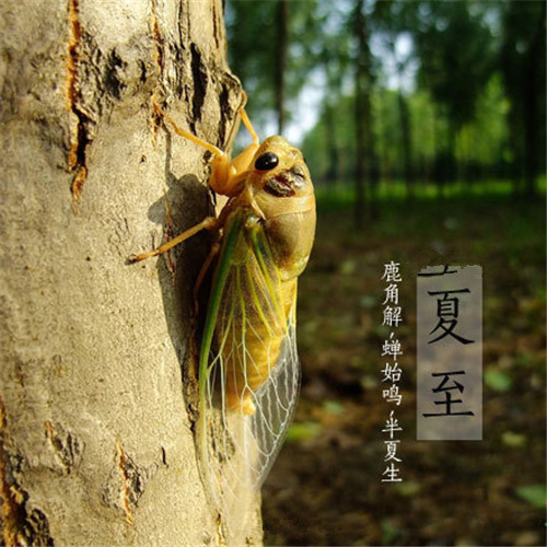 英语作文感谢朋友帮忙学习英语（感谢朋友帮助我学习英语英语作文）