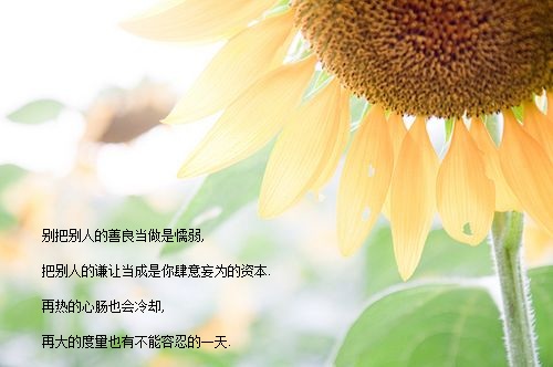 写景状物作文600字精选（景状物类作文600字初一）