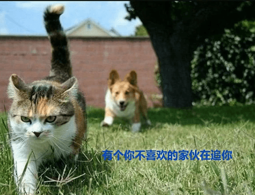 爱国奉献主题满分作文（爱国奉献情怀的主题写一篇作文）