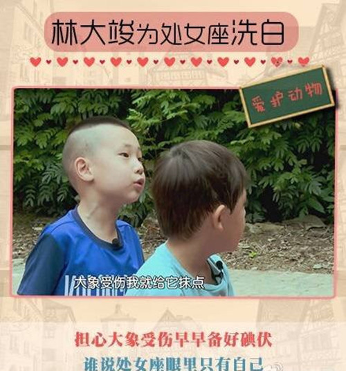 小学生作文我的梦想怎么选材（小学二年级作文我的梦想技巧）