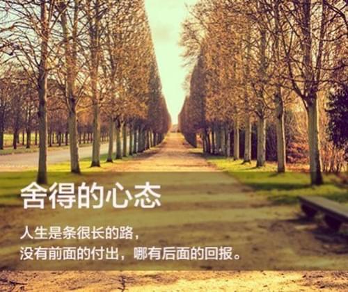 蟋蟀发出什么样的叫声作文（蟋蟀习性作文500字以上）