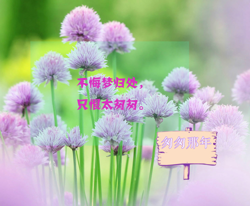 写景作文乡下开头（乡村的美景的作文开头）