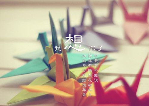 兄妹亲情作文250字（写兄妹感情的优秀作文）