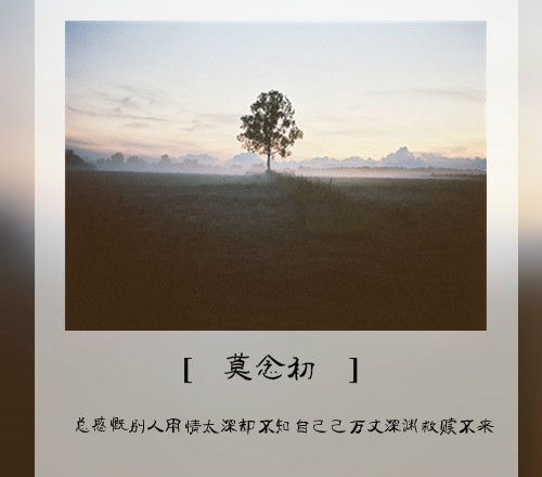 果园里一年四季的水果作文（秋天去果园摘苹果作文）