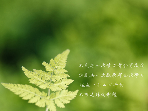 教师我的理想作文500字