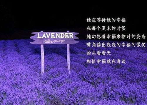 感受景点的奇特四年级作文