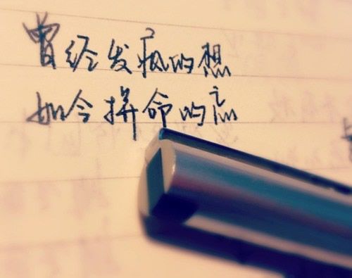 我最喜欢的植物兰花作文（作文我喜欢兰花400字）