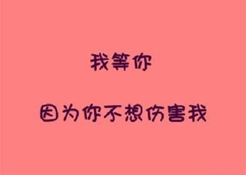 关于彭姓的研究报告作文400字（彭姓氏研究报告400字）