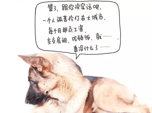 读书使我收获了什么作文500字