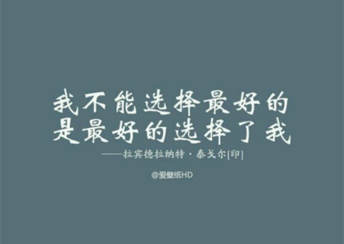 实至名归作文800字（独立自主的作文800字）