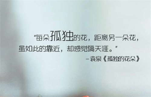 强国有我演讲稿作文600个字（强国有我演讲稿1000字中学生）