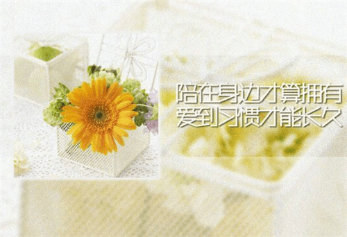 买货车祝福语简短有深意（老板买货车祝福话怎么说）