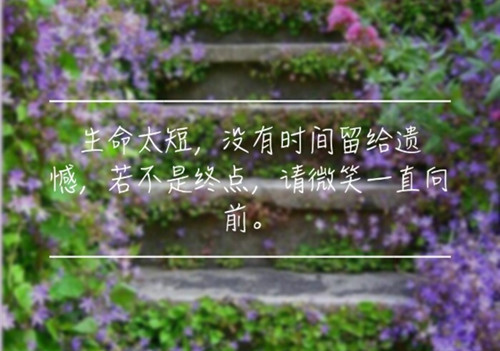 我最喜欢的中性笔作文300字（我最喜欢的一支笔作文300字）