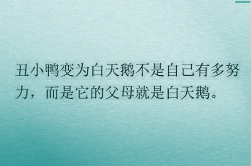 有趣的春节作文二年级（2年级春节作文简单）