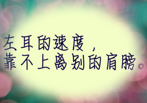 青岛作文300个字（青岛作文300字三年级）