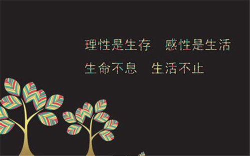 网课感受作文300字